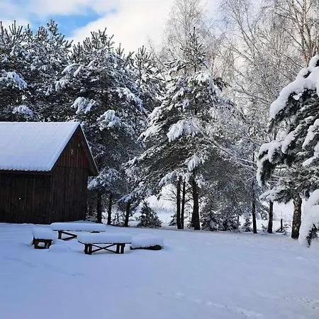 Chatka Miedzy Sosnami Holiday home Bobrowniki