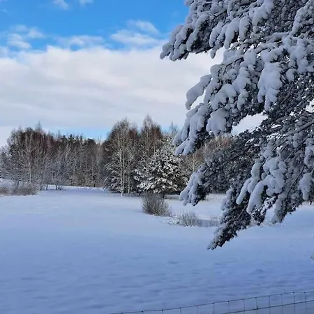 Chatka Miedzy Sosnami * Bobrowniki