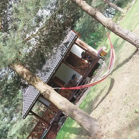 Chatka Miedzy Sosnami Holiday home *
