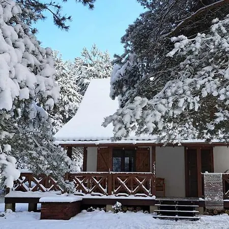 Chatka Miedzy Sosnami Holiday home Bobrowniki