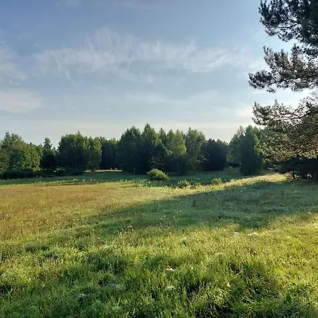 Chatka Miedzy Sosnami Holiday home