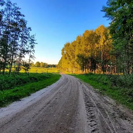 Chatka Miedzy Sosnami Holiday home Bobrowniki